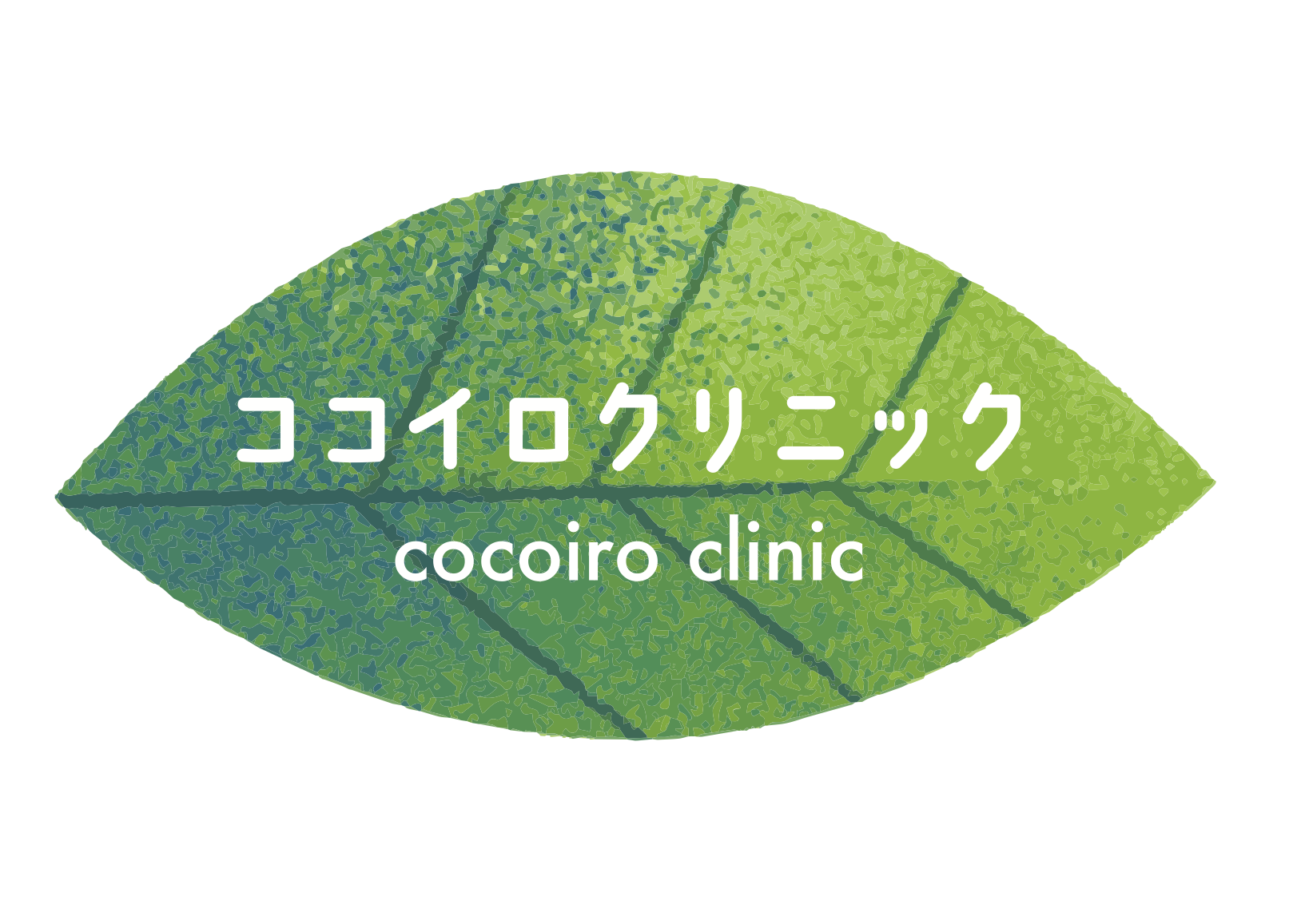 e5b52b6ee215c179440c22ceaca61944